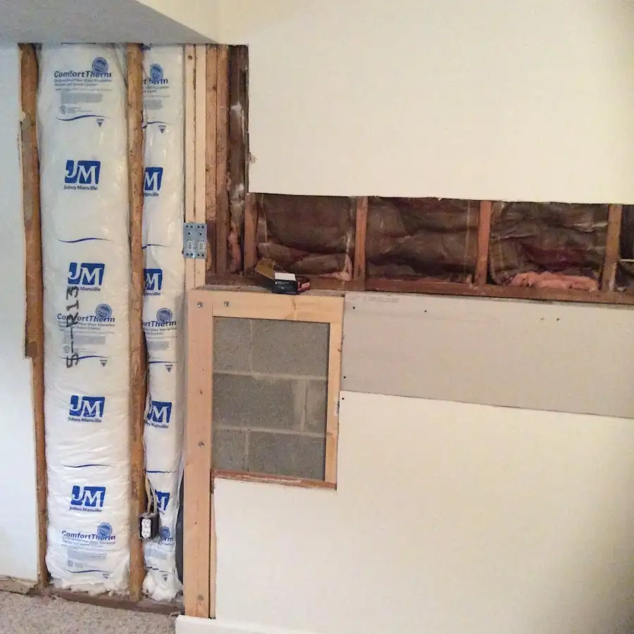 Wall insulation replacement during Odor Removal & Deodorization in Worth